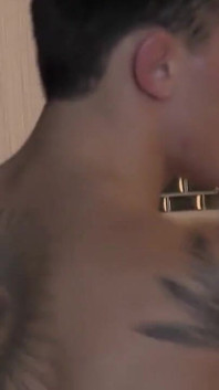 Nieuwe dekhengst David Vano