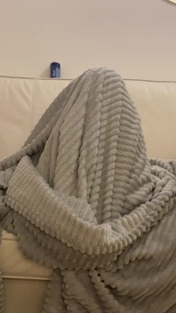 ああ!私の家にカメラを隠しましたか?!