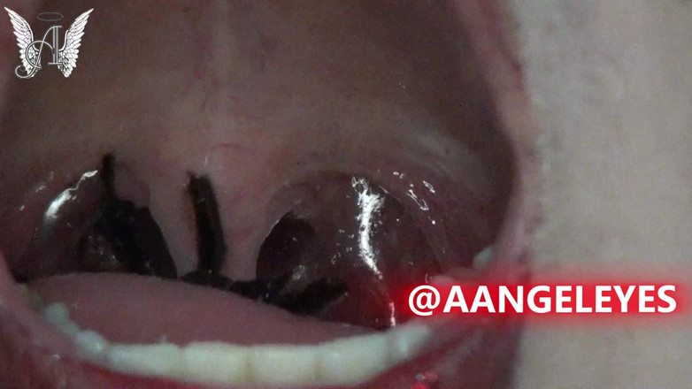 Angel eyes studio: Supershow, große spinnen schlucken!