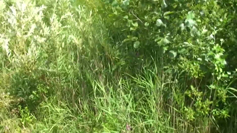 Mature Climax - 100% Mature Videos: 他没有在户外玩得很开心，而是让一个女人来做爱