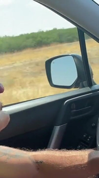 Daddyboy Road Trip! Część 2