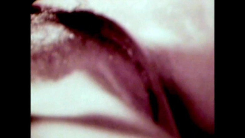 The Unforgettable: Mânzul sălbatic