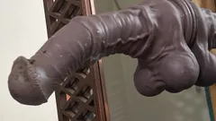 Horsing Around