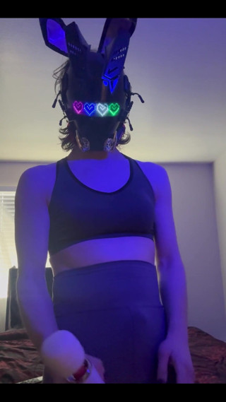 Bunny Willow: I was going to go work out