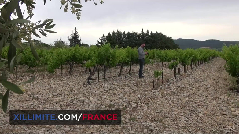 Made In France: Outdoor sex in the vineyards