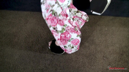 The Dick Suckers: Splattermania!