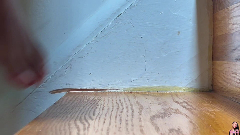 Pink Foxx: Camminando Su E Giù per Le Scale