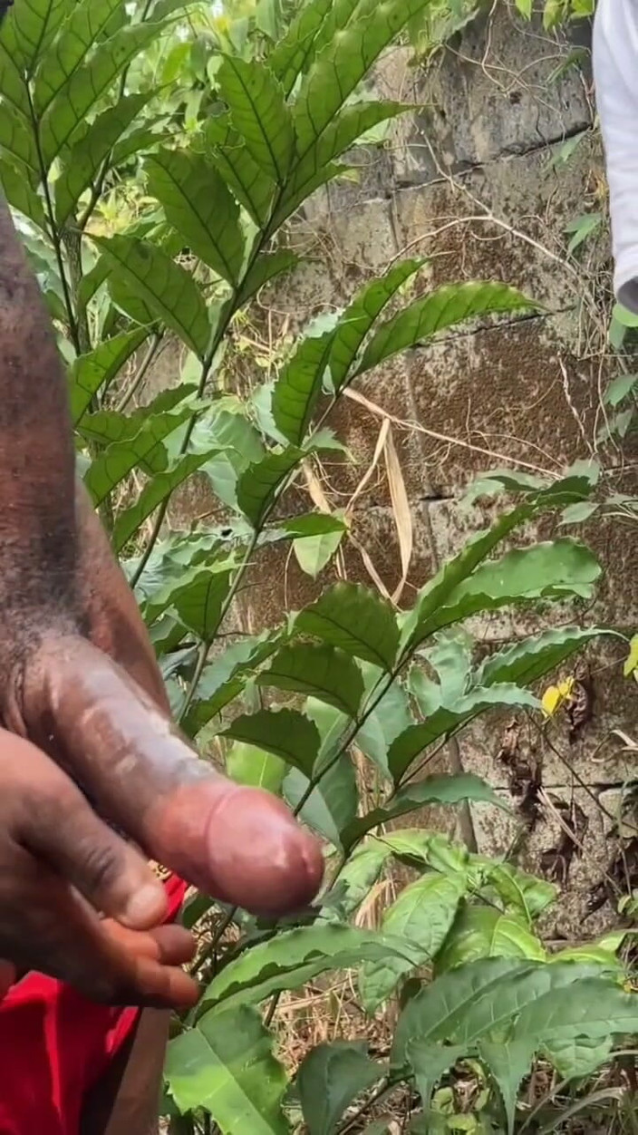 Chief_daddyy: Chef på en befrielseplats, hans styrka är låg han har kommit...