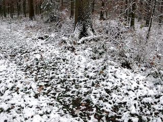 Bouncy Tits Action: Колокола звонят в день Святого Николая