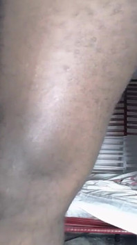 Black Cock