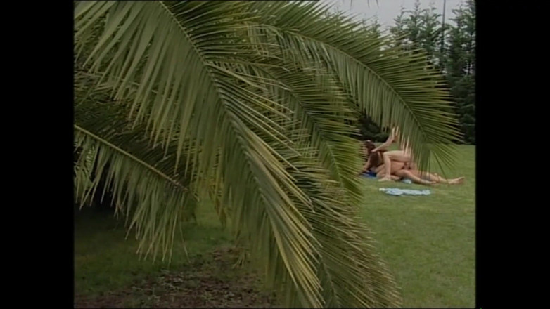 Muschi movie official: 德国荡妇渴望粗暴的粗暴肛交