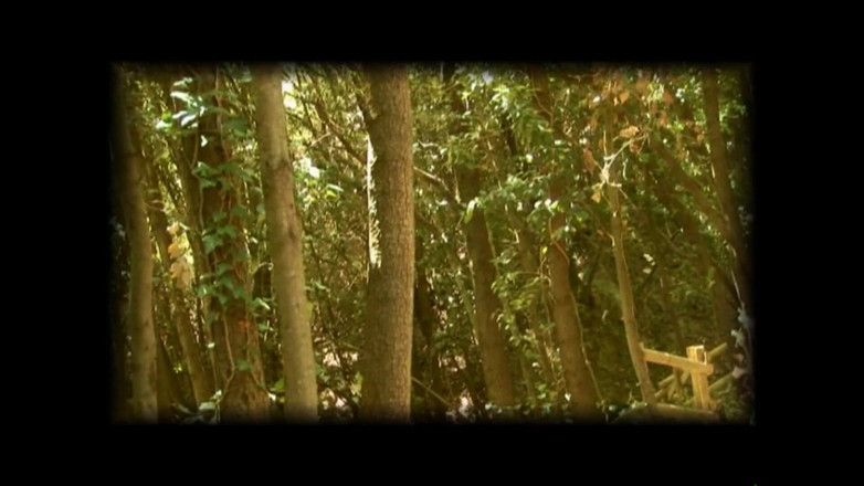 FM Video VOD: Sofia Bellucci in: Onderscheidingstekens: mooi!