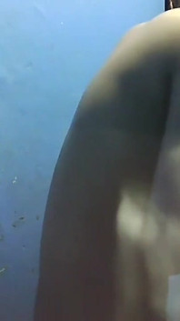 Filipina escabullendo video de su hermanastras novio