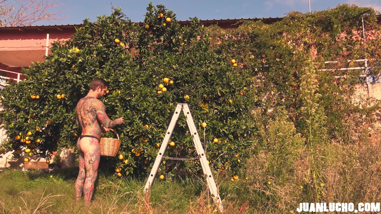 Juan Lucho Gay: Orange Juice