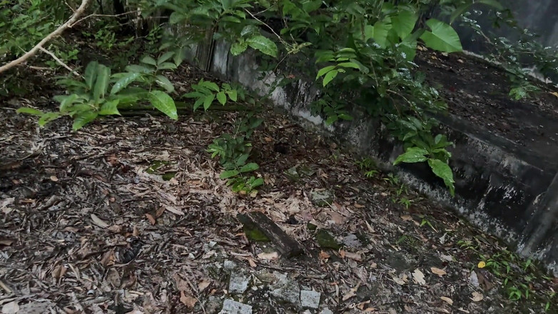 SkinLovers: Una cita con altgirl terminó con sexo duro y una...