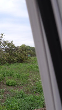 I Show My Boobs in Random Places