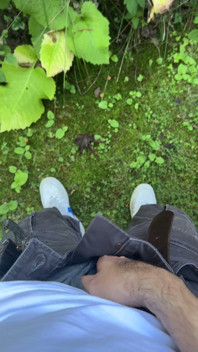 Golden Stream: Peeing in Paradise