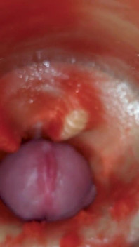 Sborra Senza Sperma. Eccellente Telecamera Interna. 4K