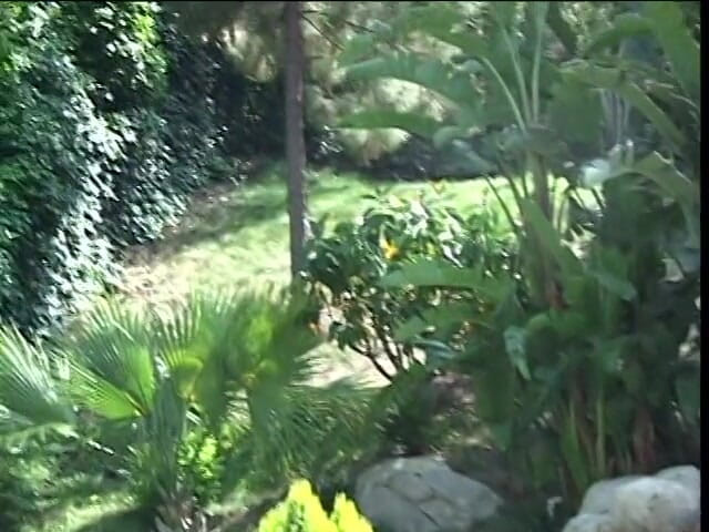 Outdoor Lesfun games: Busty lesbian girl and glass dildos