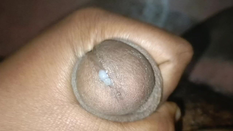 LegalVector8: インドのヒンディー語ファック