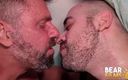 Bear Films: Bearfilms Deviant Burly Ale Tedesco and Fernando Cortes Breed After...