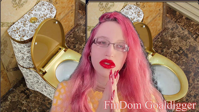 FinDom Goaldigger: Toilet cleaner servant transformation!