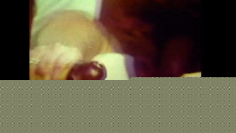 Vintage Megastore Full hd: Kirli Domuz