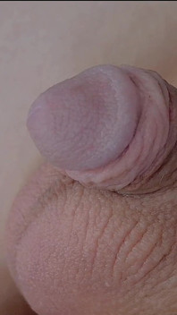 How Old Is That Cock Lol?!