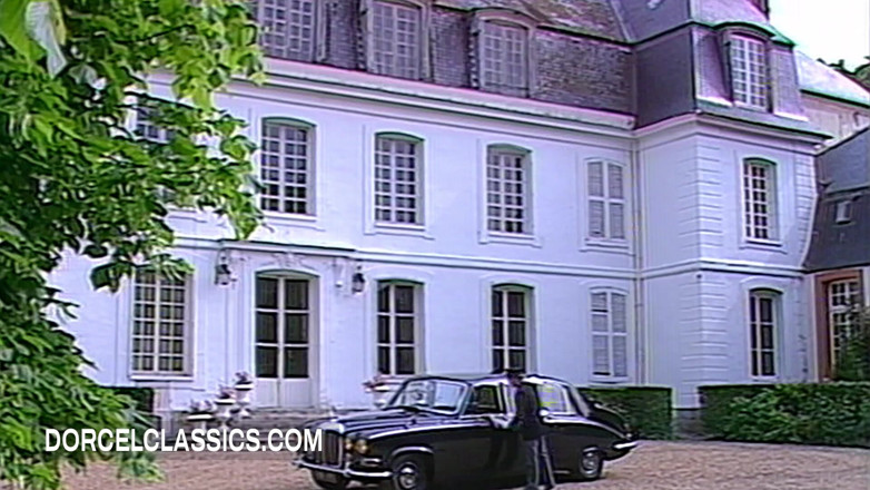 Dorcel classics: A Fortuitous Accident