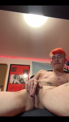 Guano69ftm: In Need of a Desk Pet