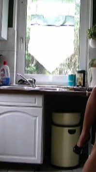 The Kitchen Slave