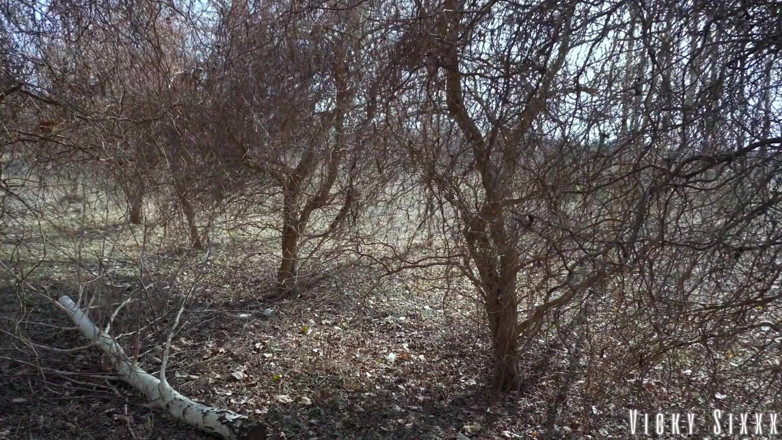 YSP Studio: Boquete a vácuo de primavera em parque público / engolida de...