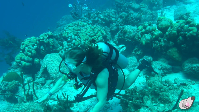 Mistress Pink Pearl: ボネールでの一人の時間