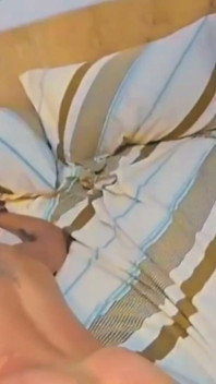 도미네이루에서 22cm 떨어진 곳에서 작은 녀석은 완전히 부서졌다