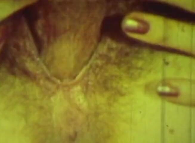 Vintage Life: Retro Green-tinted Vintage Classic with Hairy Brunette Orgy