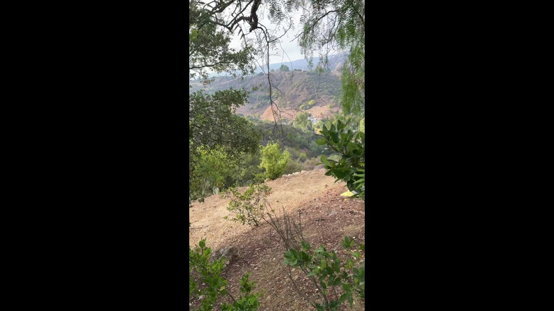 Nicole Rae: 육신 정비사