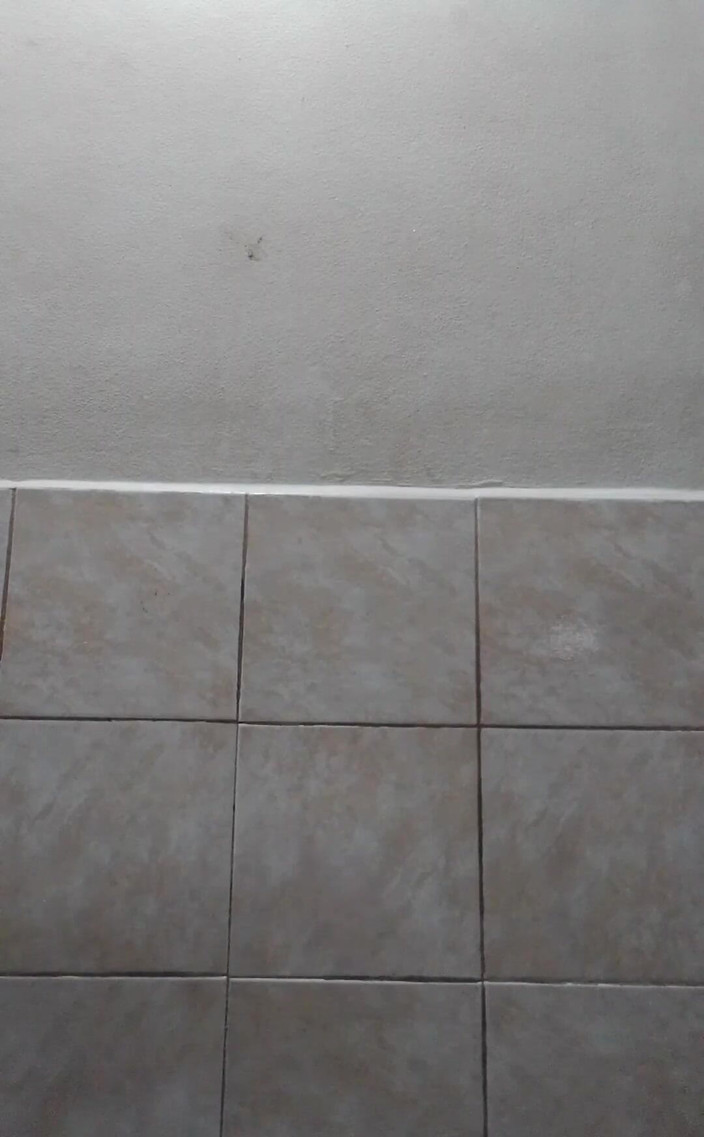 RavenHearth666VIP: Prima dată cu dop anal L Size Bunny