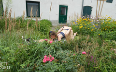 BettDuett: Літній повернення - ліжко в клумбі!!