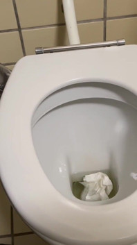 Sexy Pee in Toilet Guys