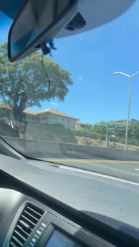 Driving Without Pants