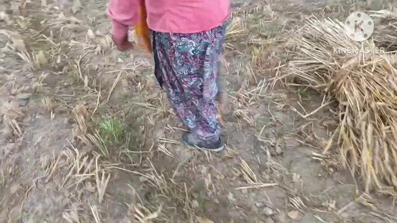 Savita5343: El coño de la trabajadora cosechando trigo fue follado al...