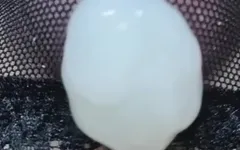 Close Upand and 2 Ruined_#4