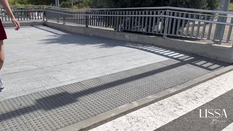 Lissa Brown: 공공 진동 - 기차 - 야외 - 장난감