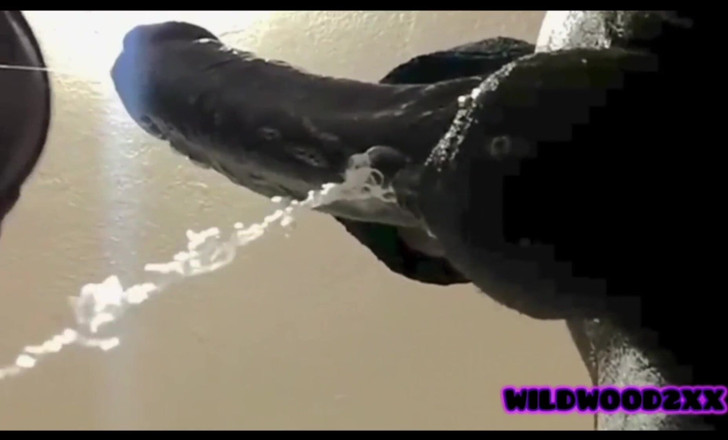 Wildwood21519: Compilazione di sborrate in bocca deepthroat