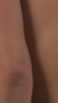 Charley Chase si přivede domů hřebce, který šuká na celý den