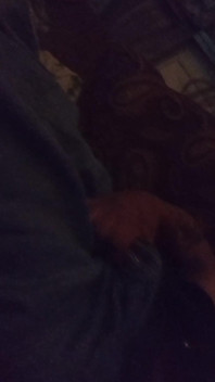 Myself