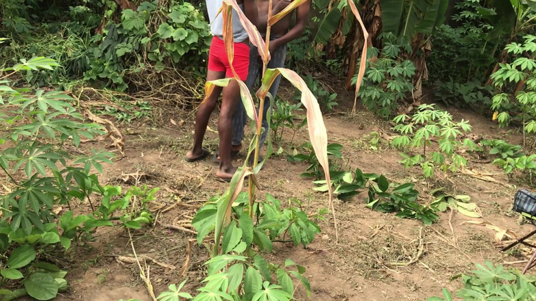 Sexydaddy: Çalının içinde oral seks