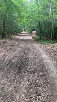 Vernedering in het bos...