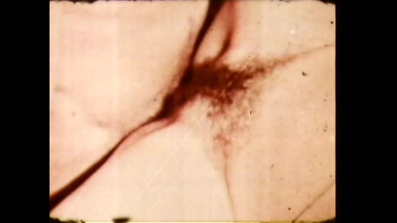 Vintage megastore: Papai, Seu Delicioso Pênis