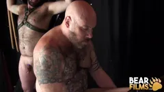 Bearfilms Stora björnar Pappa Cub och Daddy Lucas Har trekant hårdhänt